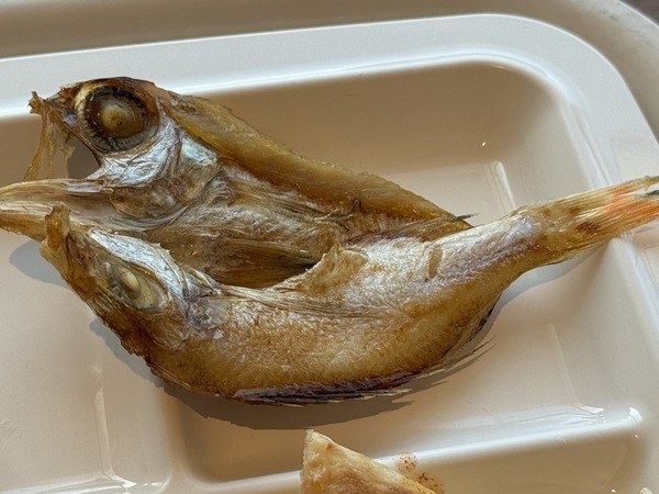 ホテル一畑 (32)