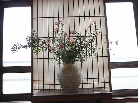 こすもす (8)