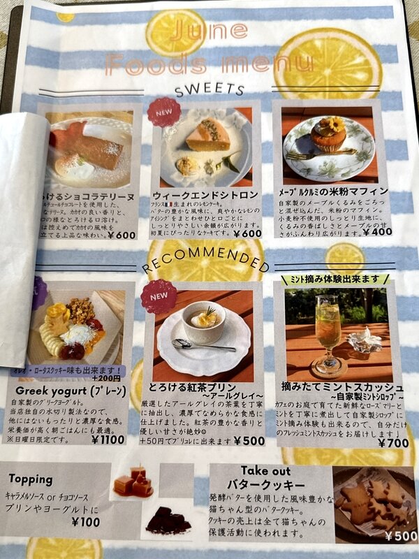 カフェダモン (6)