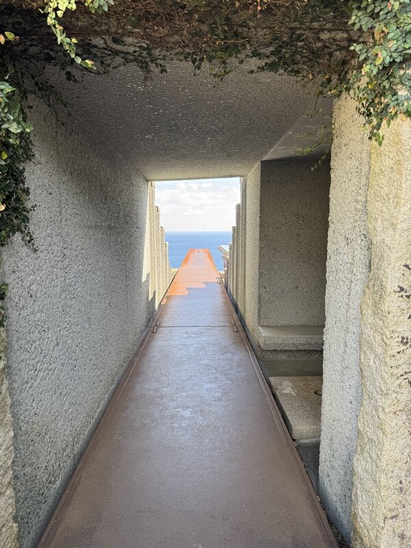 江之浦測候所 (46)