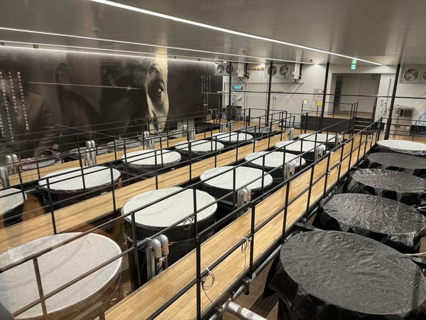 農口尚彦研究所 杜庵 (14)