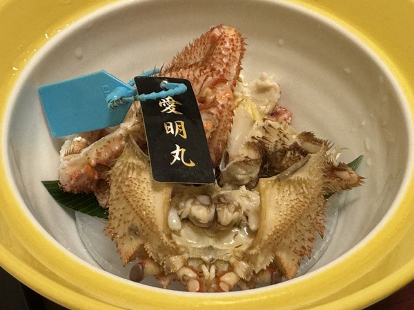 有川 (5)