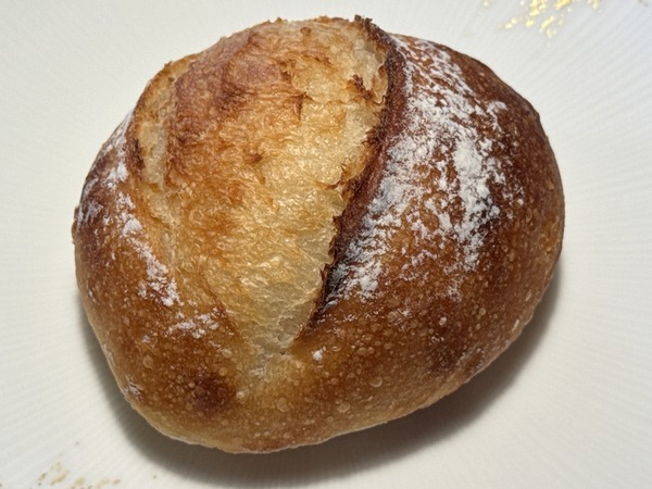 カナルブレッド (6)