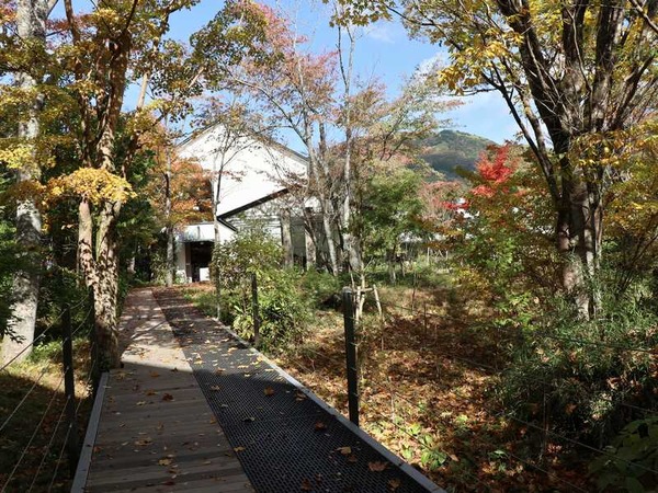 ラリック美術館 (28)