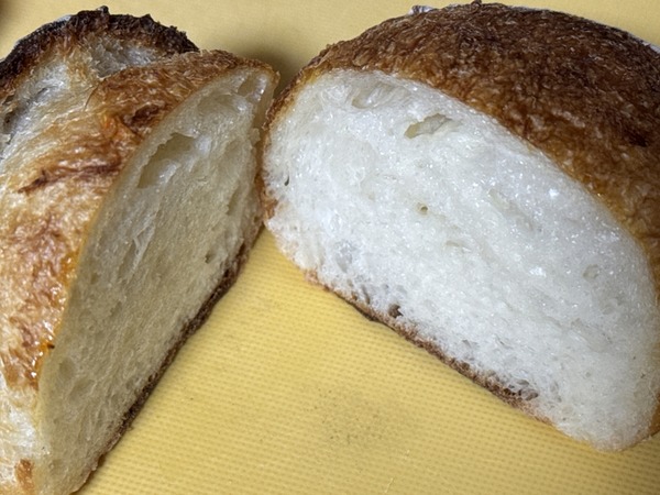 カナルブレッド (9)