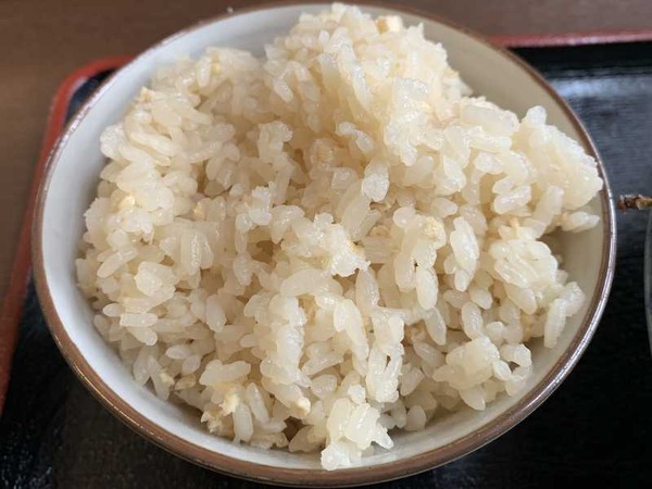 うどん よしの (11)