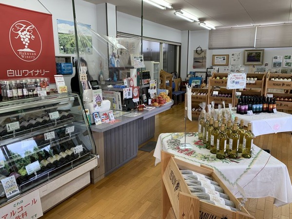 白山ワイナリー (2)