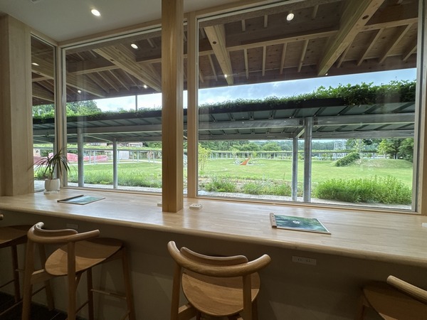 CHABU Dining (6)
