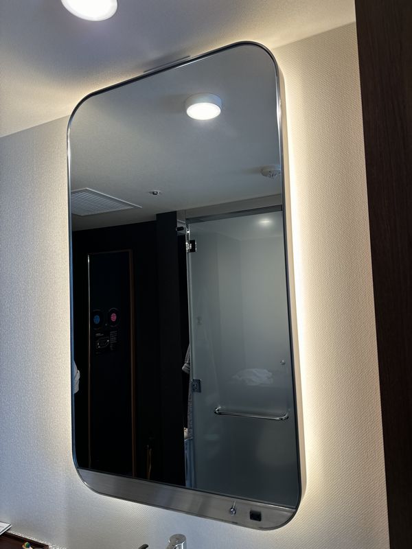 HOTEL GROOVE SHINJUKU (53)