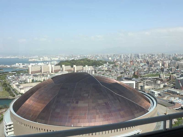 シーホーク (31)