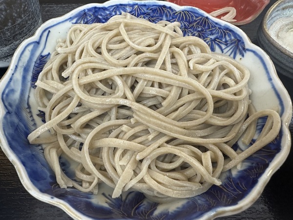 手打ちそば処 たけうち (11)