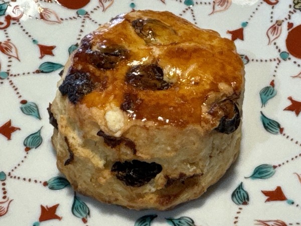 アリシエール (7)