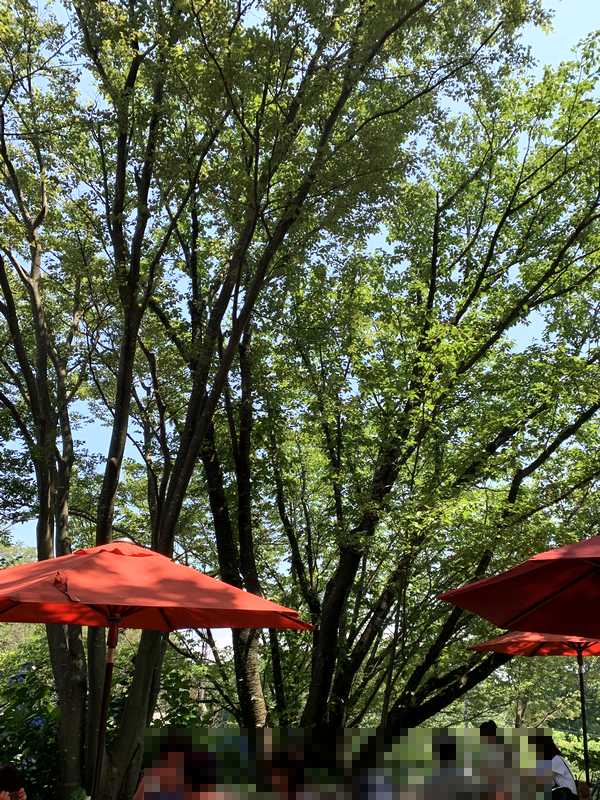 加佐ノ岬倶楽部 (22)