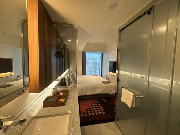 HOTEL GROOVE SHINJUKU (8)