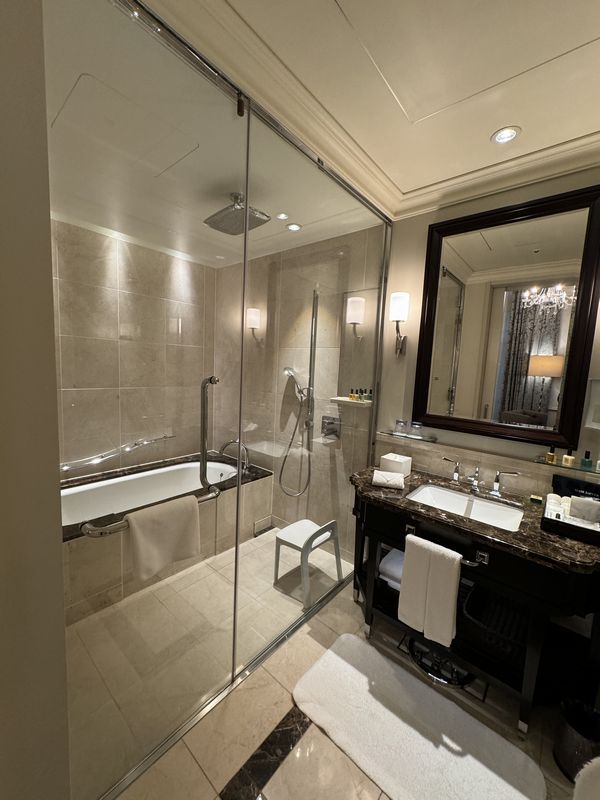 東京ステーションホテル (10)