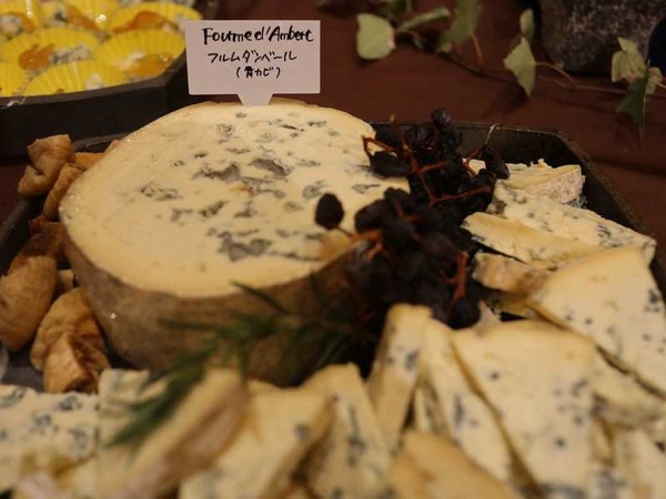 カジマート (22)