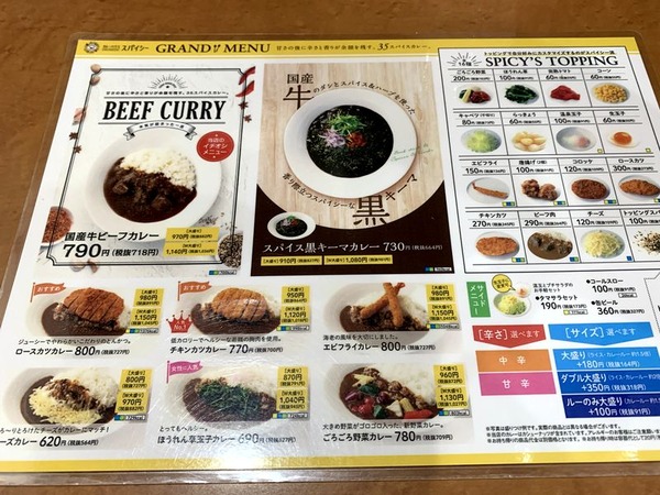 カレーハウススパイシー (3)