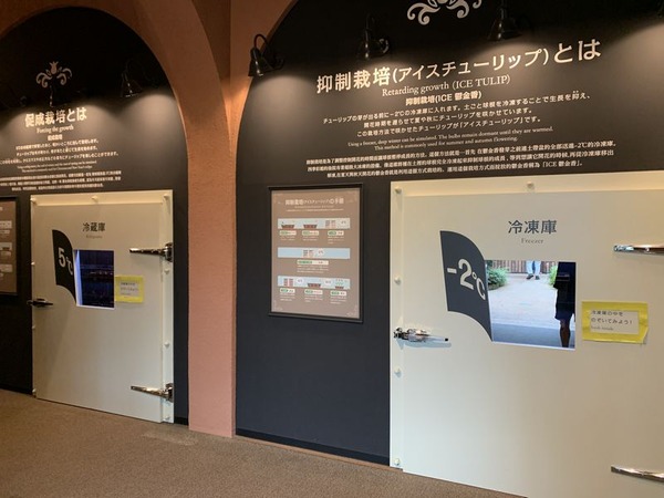 チューリップ四季彩館 (12)