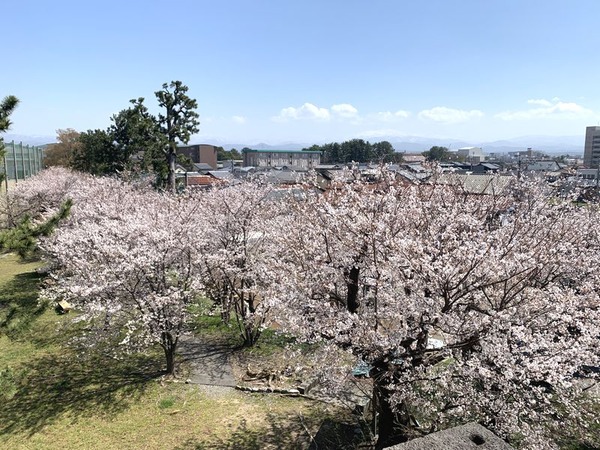 小松城跡 (3)