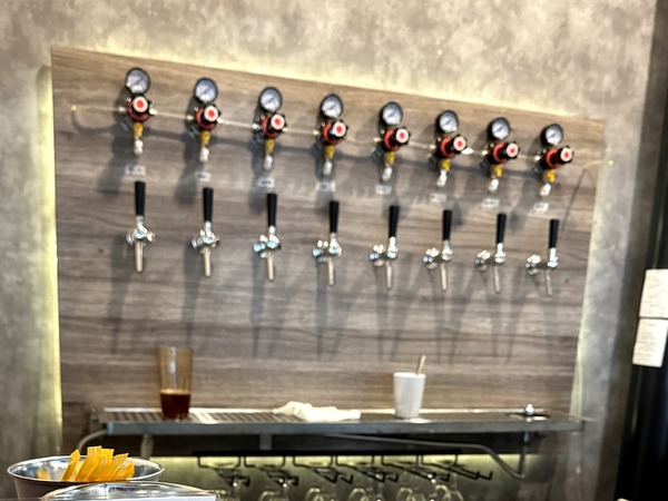 オリエンタルブルーイング加賀店 (6)