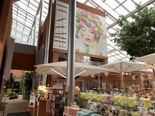 チューリップ四季彩館 (3)