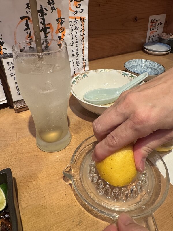 花ちょうちん (19)