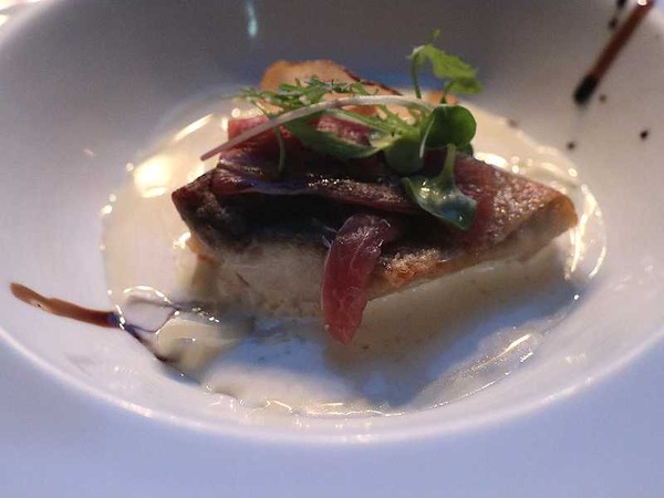 ブルーバード (20)