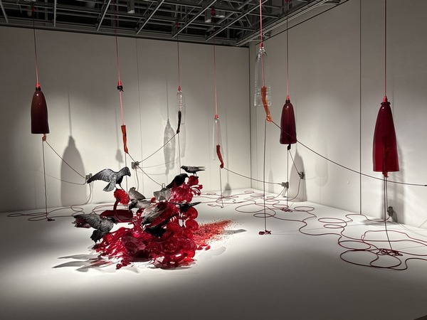 富山市ガラス美術館 (27)