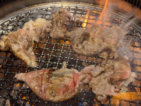 ホルモン光 (13)