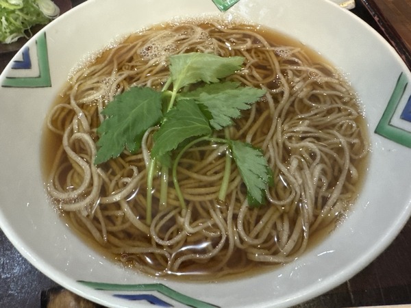 手取川 竹やぶ (4)