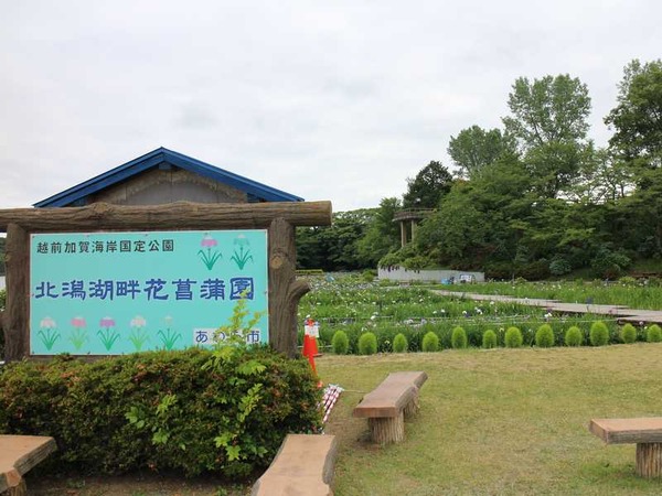 北潟湖 (3)