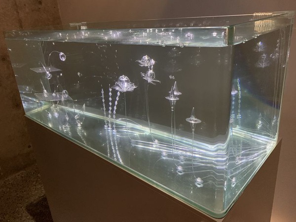 金津創作の森美術館 (48)