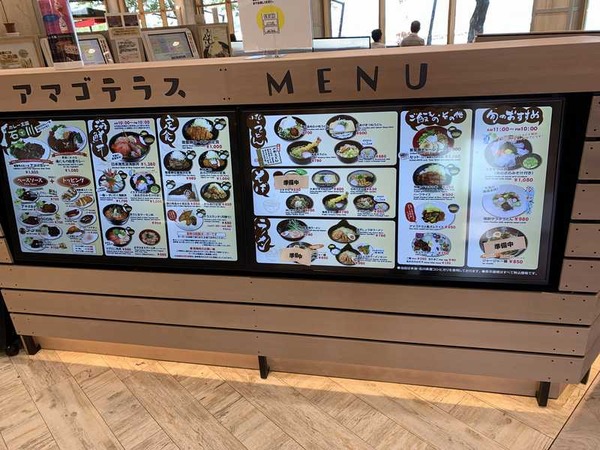 アマゴテラス (9)