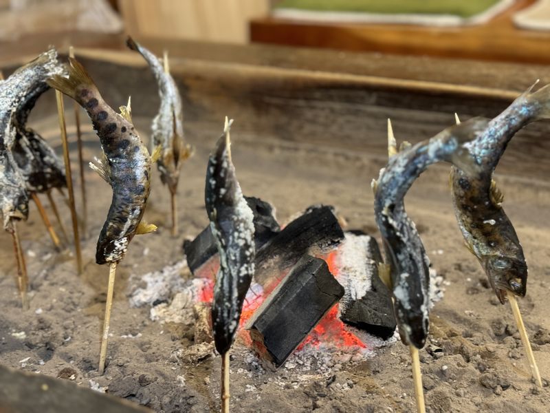 NO ７ イワヒバ( 岩松 ） ３０年物 激安の投売り大特価です NO 7 イワヒバ( 岩松 ） 30年物 激安の投売り大特価です NO 7