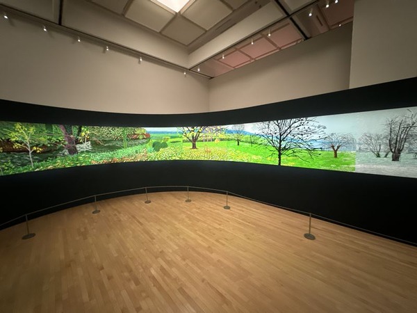 デイヴィッド・ホックニー展 (14)