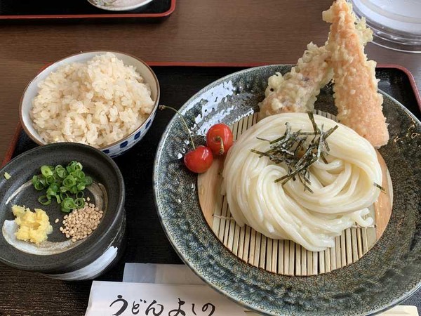 うどん よしの (9)