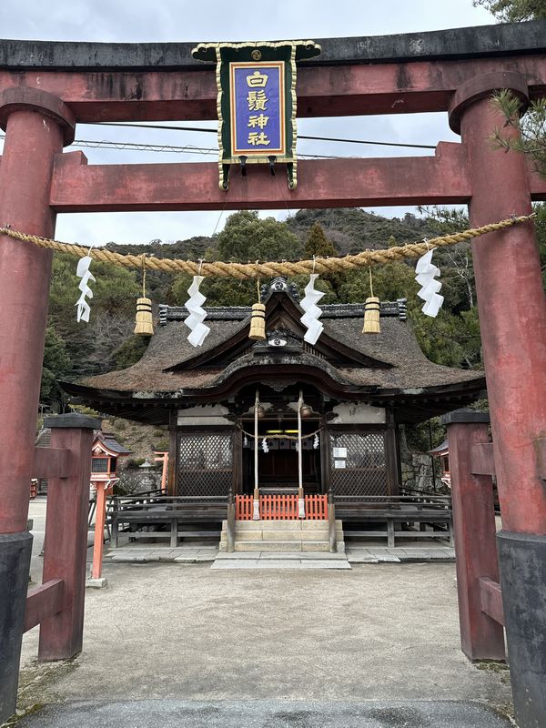 白鬚神社 (4)