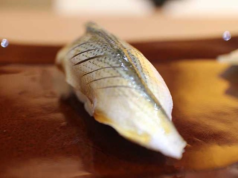 あさの川 (10)