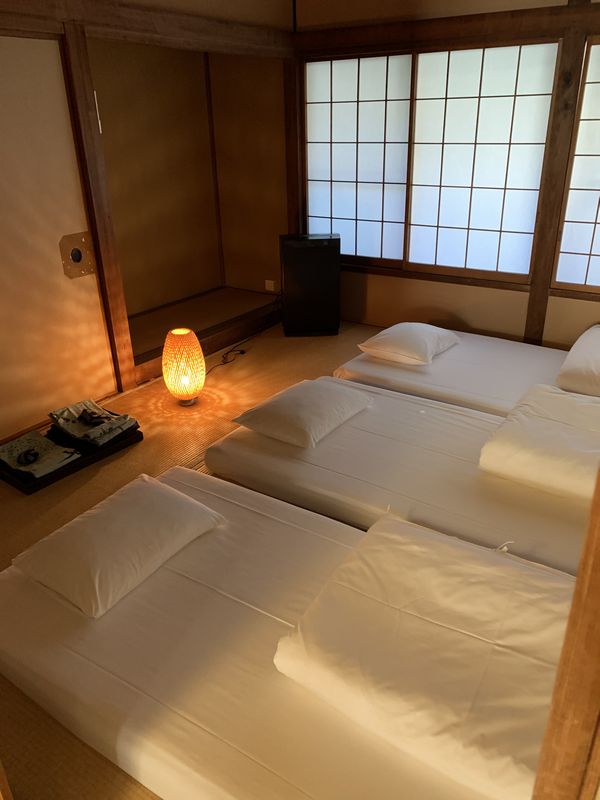 小坪海岸 凛花 (5)