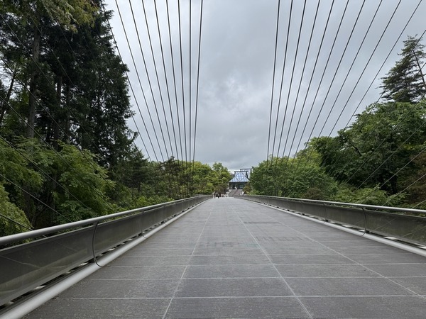 MIHO MUSEUM (40)