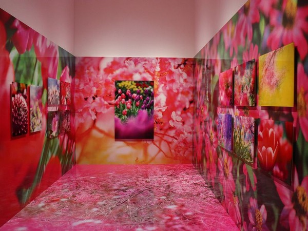 富山県美術館 (29)