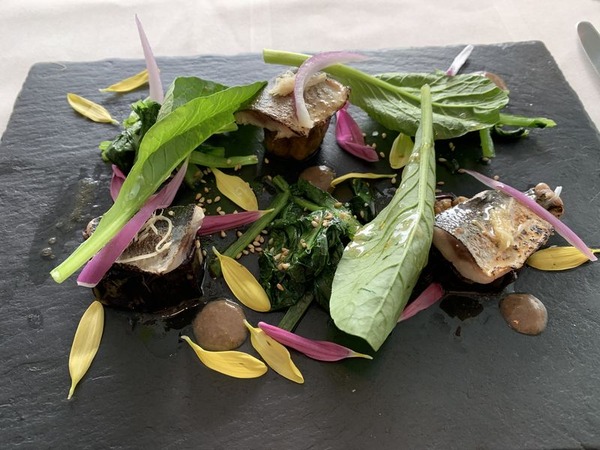 ミクニ ヨコハマ (13)