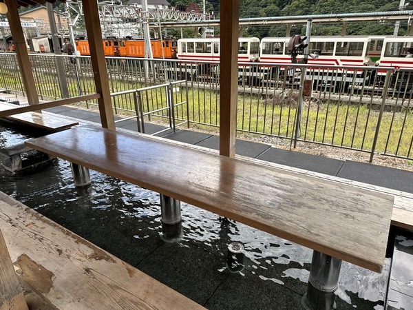 黒部トロッコ電車 (66)