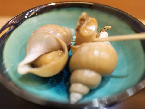 あさの川 (7)
