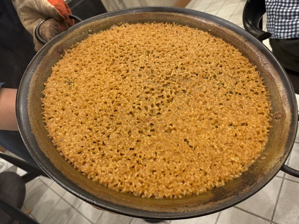 アンチョア (31)