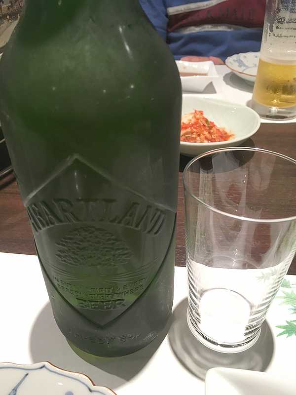かが元泉 (12)