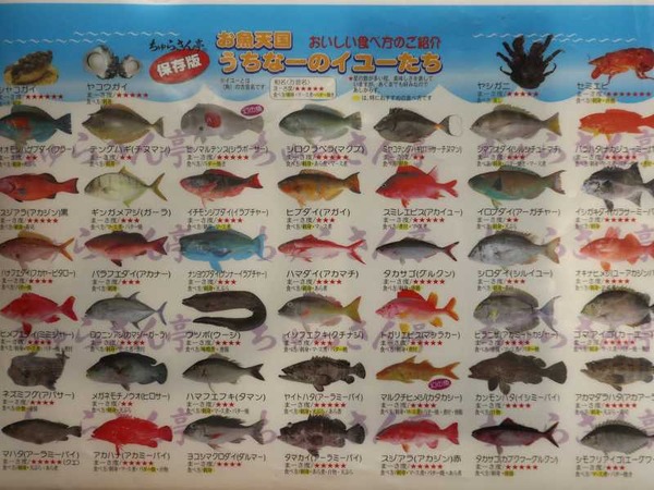 ちゅらさん亭 (19)