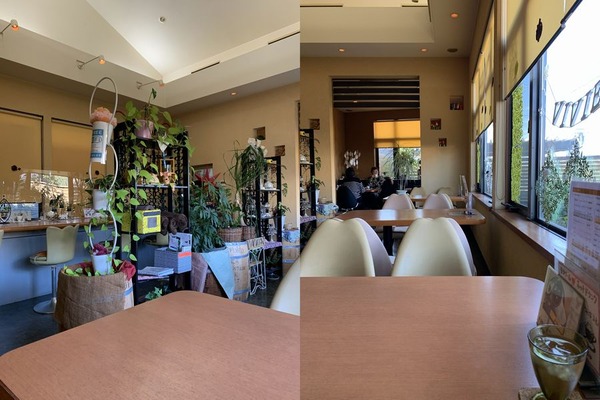 ヴィヴィアン (5)