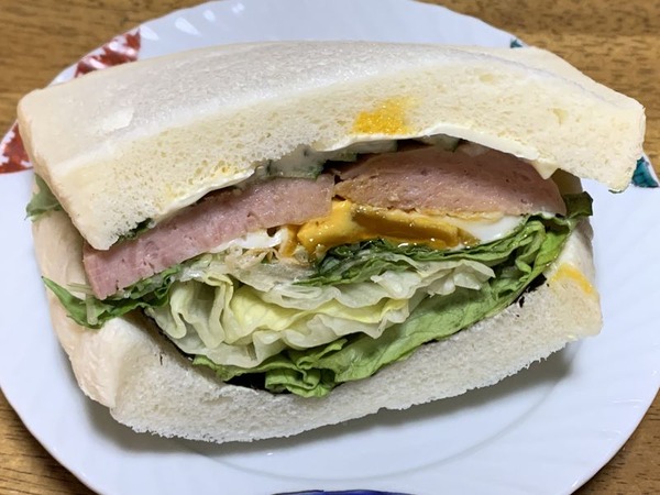 SOL FLA ソルフラ (11)