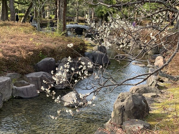 芦城公園 (2)